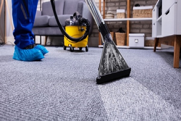 مكافحة حشرات دبي