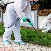 مكافحة حشرات عجمان